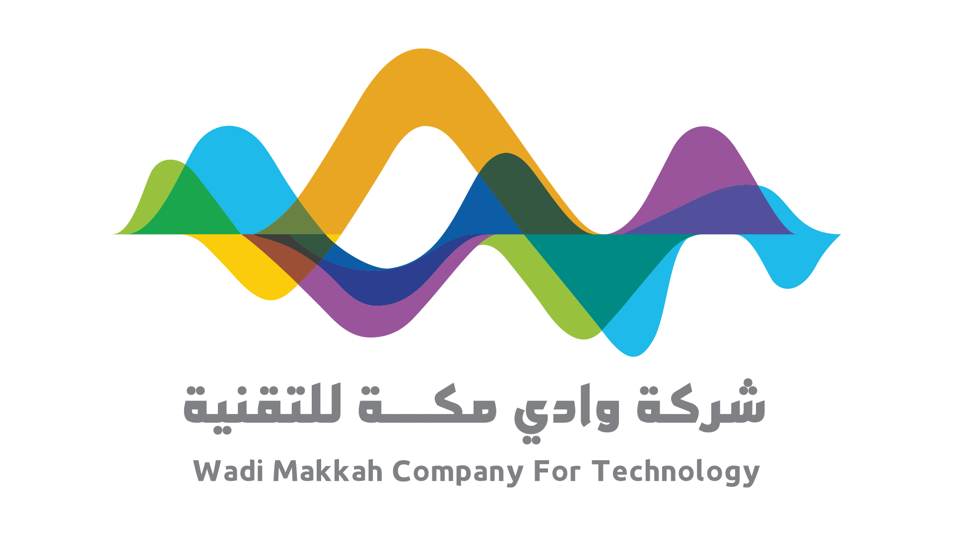 شركة وادي مكة للتقنية